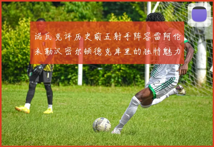 诺瓦克评历史前五射手阵容雷阿伦米勒汉密尔顿德克库里的独特魅力与影响