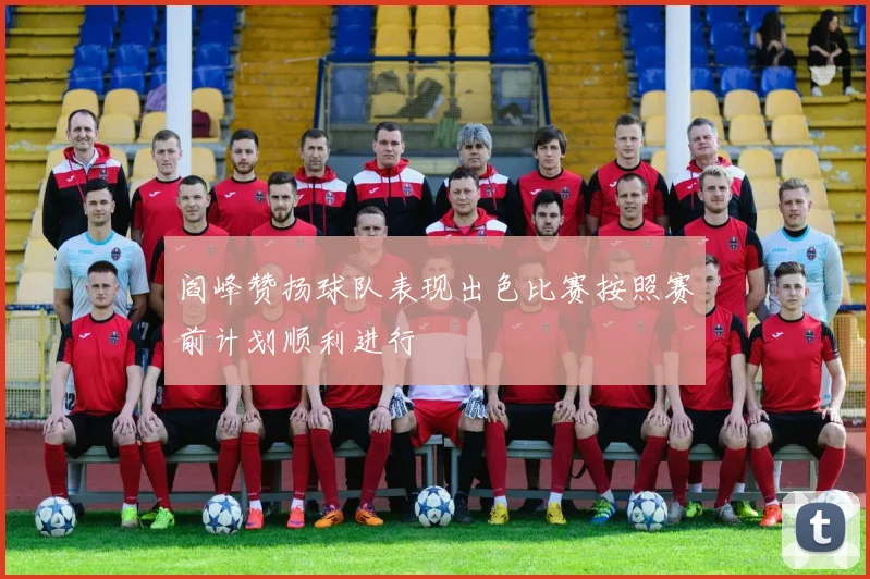 阎峰赞扬球队表现出色比赛按照赛前计划顺利进行