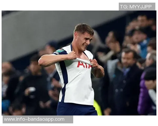 热刺3-0战胜埃弗顿范德芬荣膺队内最佳球员称号