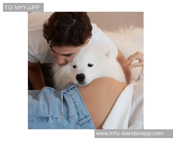 小蜘蛛分享女友孕照期待儿子阿马德奥即将降临家庭新篇章